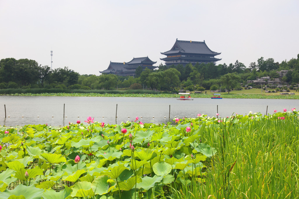 阳澄湖半岛莲池湖公园