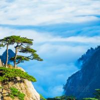 黄山+宏村3日2晚跟团游 黄山+宏村3日2晚跟团游