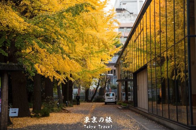 1:签证--年薪10W,或者10W流水。 2:机票--ANA航空 NH956 10:25-14:55 、NH955 18:25-21:40 3:酒店--筑地本愿寺附近,银座本座酒店,居民区,晚上很安静。 4:换钱--我换150000日元,吃饭坐车购物,不够大商场可以刷卡。 5:上网--携程办的无线WIFI,8元一天! 6:相机--Canon 5D3 7:药物--腹泻药 8:电器--10000A充电宝,2T移动硬盘,iphone6s,笔记本 今年的游记,我延续去年的写作风格,都尽量写的简介一些,方便大家能