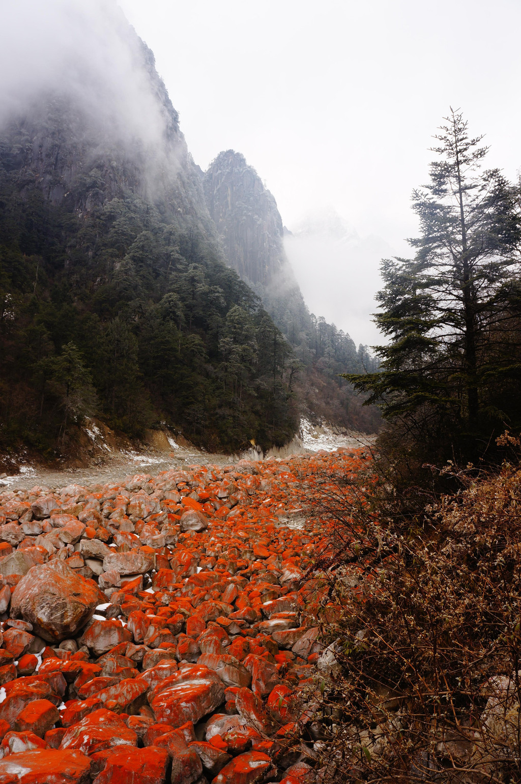 成都 海螺沟 燕子沟 四人同山 西岭雪山,自虐并快乐着—2017春节伪