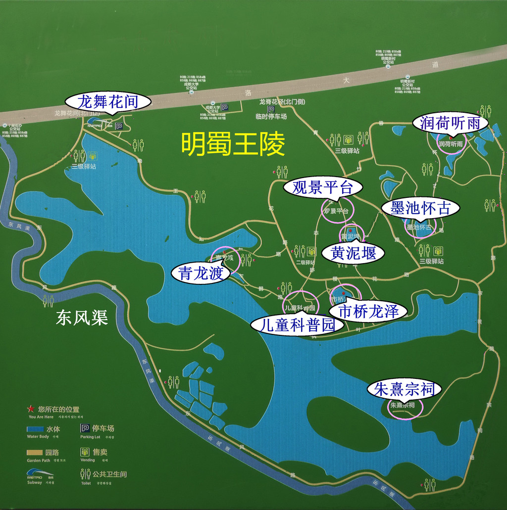 青龙湖湿地公园                      