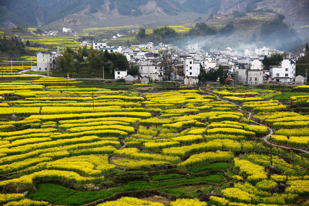 安徽家朋赏油菜花,走皖南川藏线,游查济古镇,观太平湖