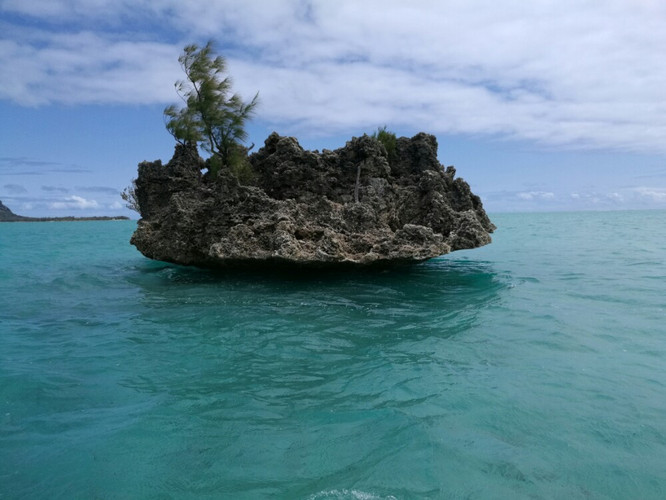     水晶岩——露出海面的珊瑚礁