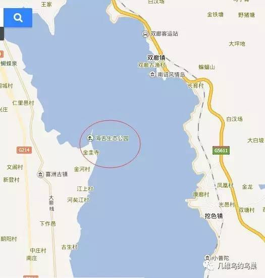 海舌生态公园地理位置极佳,位于洱海中央,三面环湖,而且免费(不过