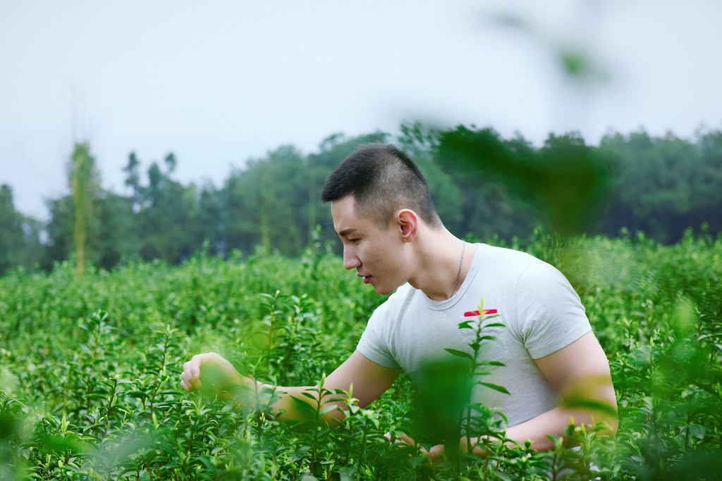 最美茶园·最美味道-重庆定心茶园之旅,寻春随手拍