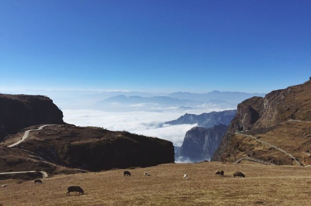 昭通大山包攻略,昭通大山包门票/游玩攻略/地址/图片/门票价格【携程