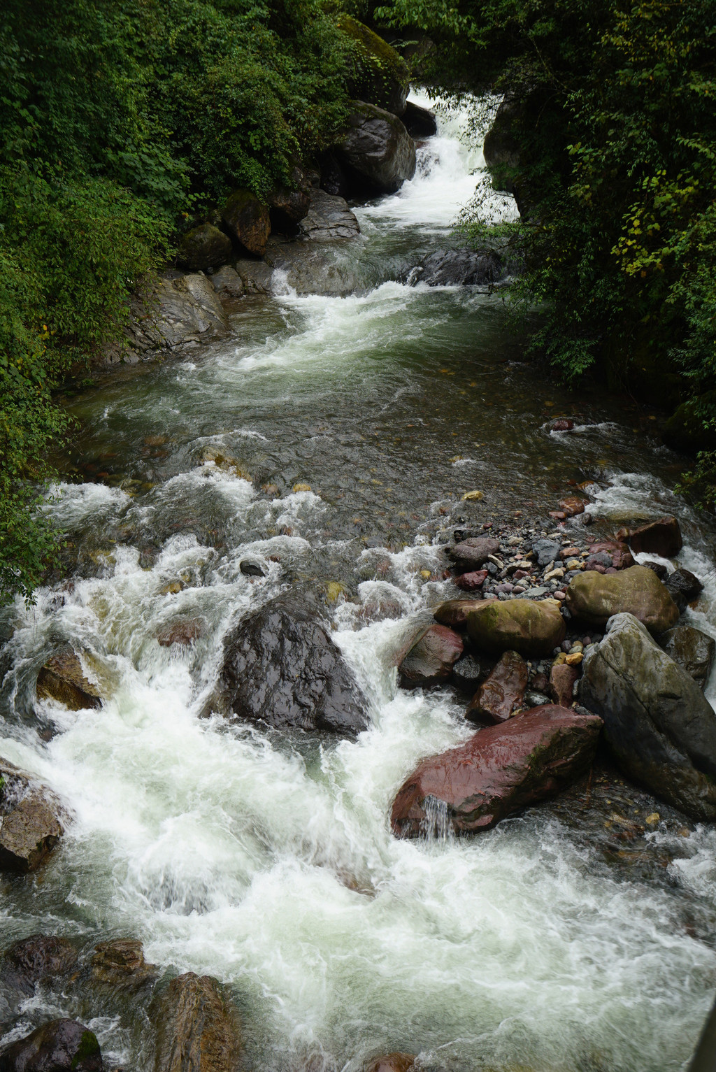 黑竹沟石门关原始森林, 高山大草甸两个开放景点游记