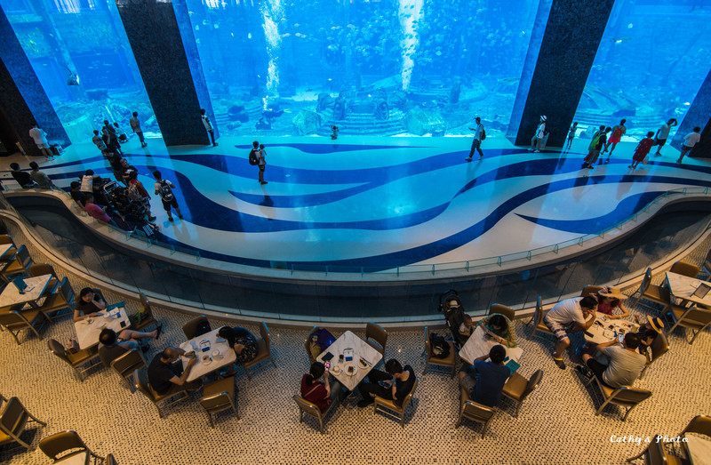 亚特兰蒂斯失落的空间水族馆