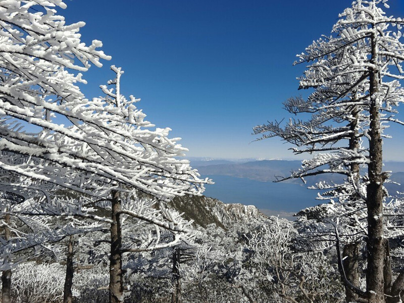 苍山之恋