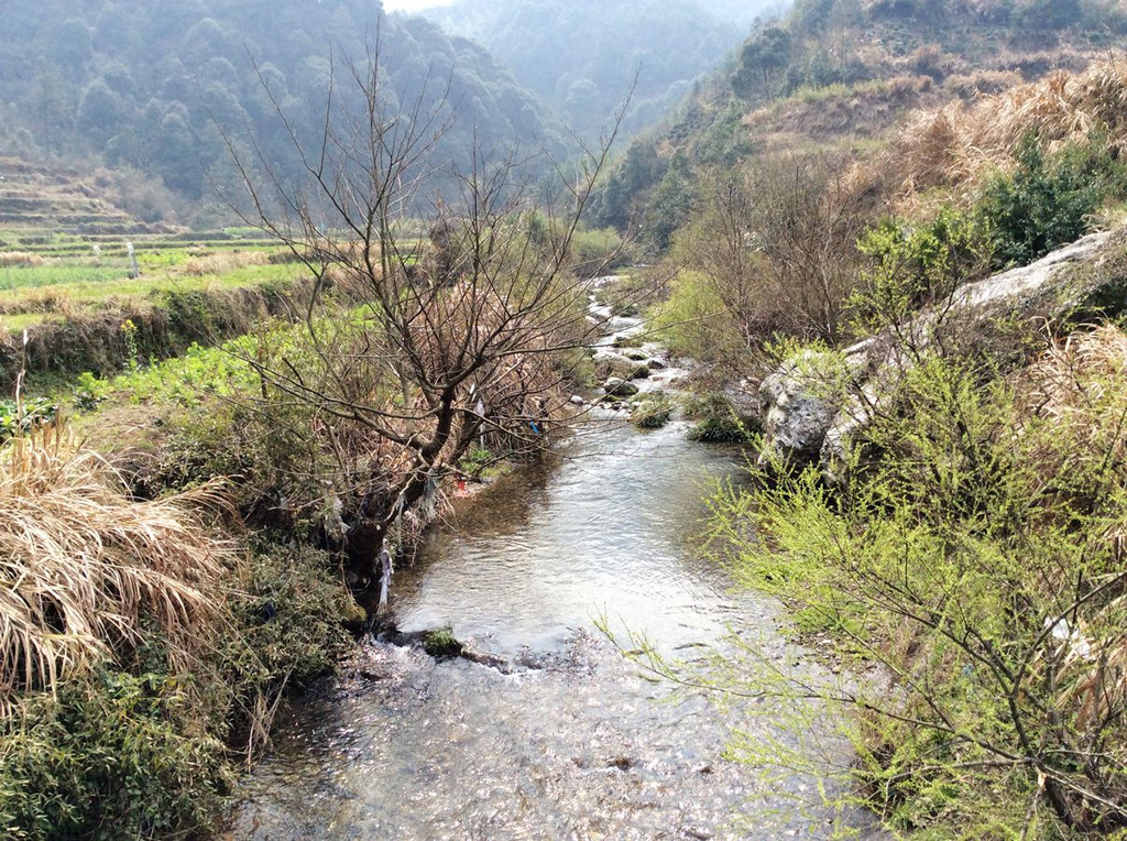 水墨皖南石台行(二)——大山村养生游