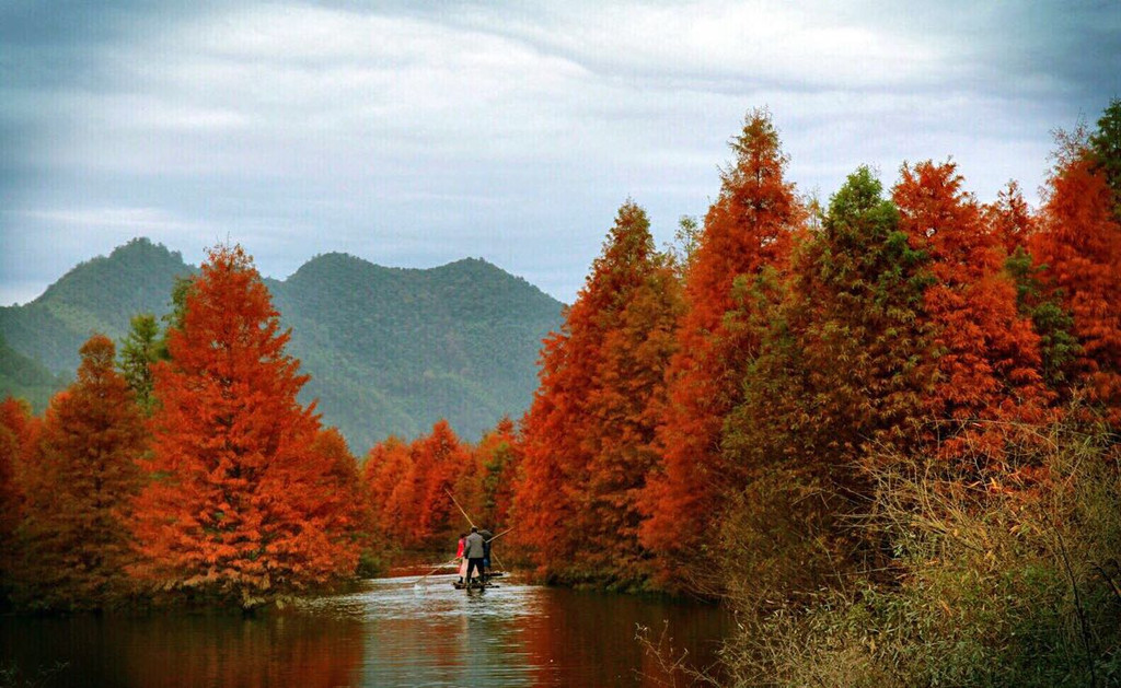 经临安去塔川,走走睆南川藏线,一路风景,特别是川藏线上宁国红树林太