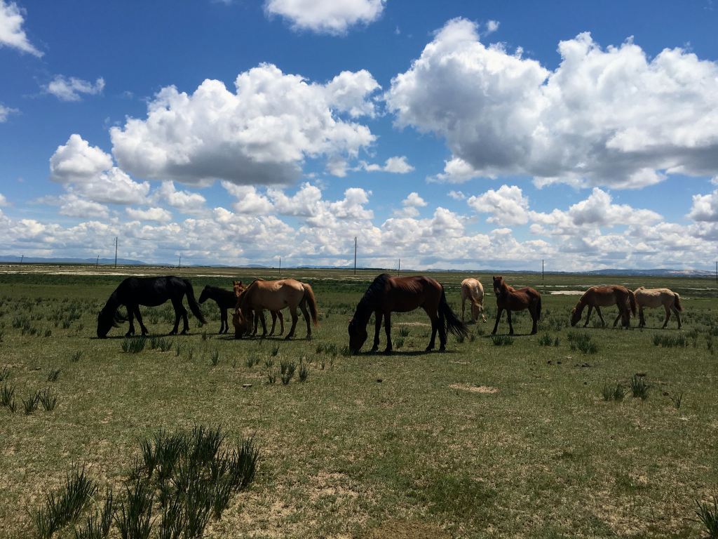 印象内蒙之一场没有目的地的旅行,邂逅赤峰克旗