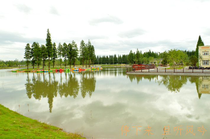 固城湖国家城市湿地公园——雨中即景