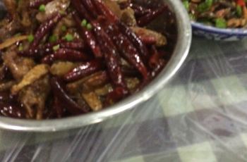 什么菜不怕阴凉的地方 100n0600000020sddBEE1_R_350_230.jpg