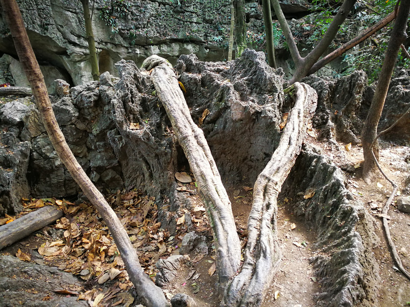 这是一个河谷式的景区,类似于穿行于火山岩林之中.