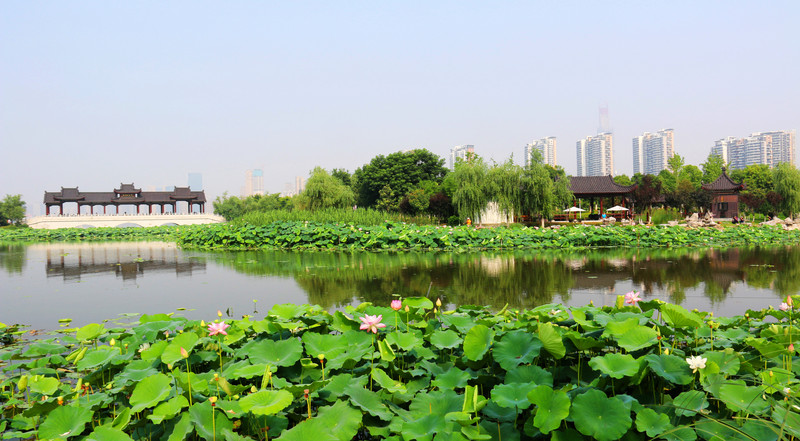 沙已成金,卅里高楼铺成景;湖今聚宝,一篱绿水醉游人-武汉绿肺沙湖