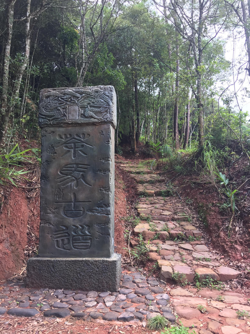 彩云之南南线自驾游(昆明版纳自驾8天)