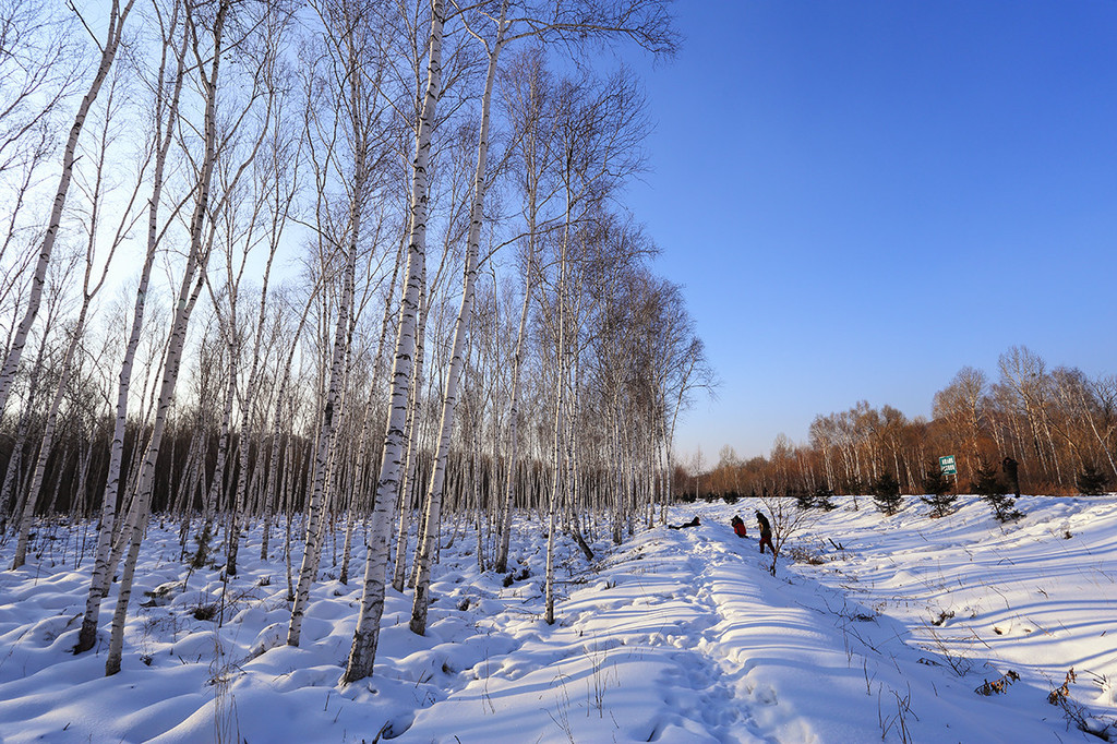 冬季到小兴安岭来看雪