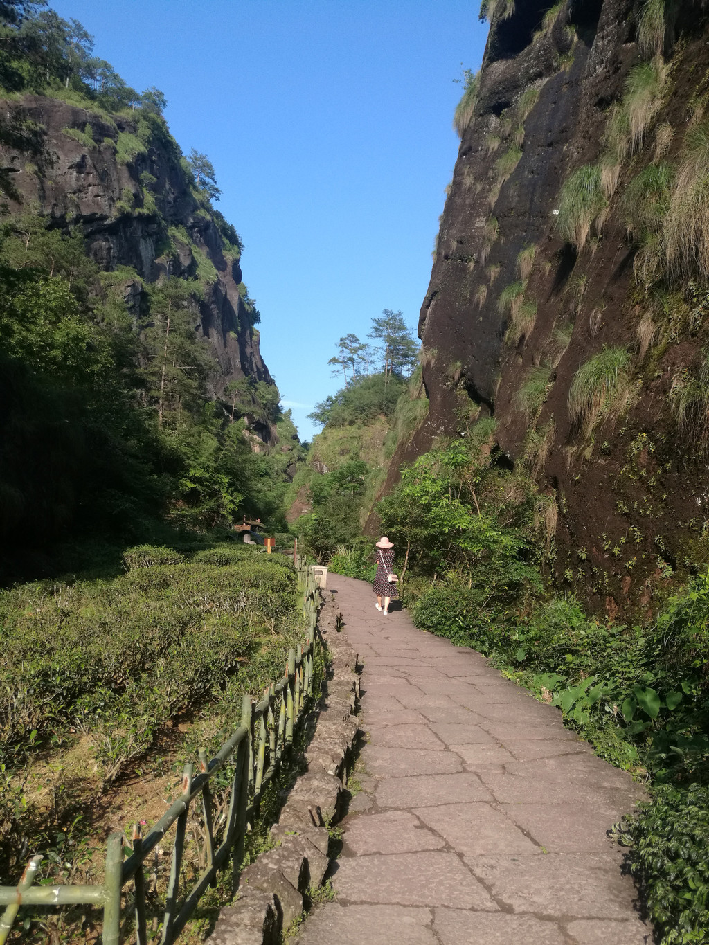 大红袍景区