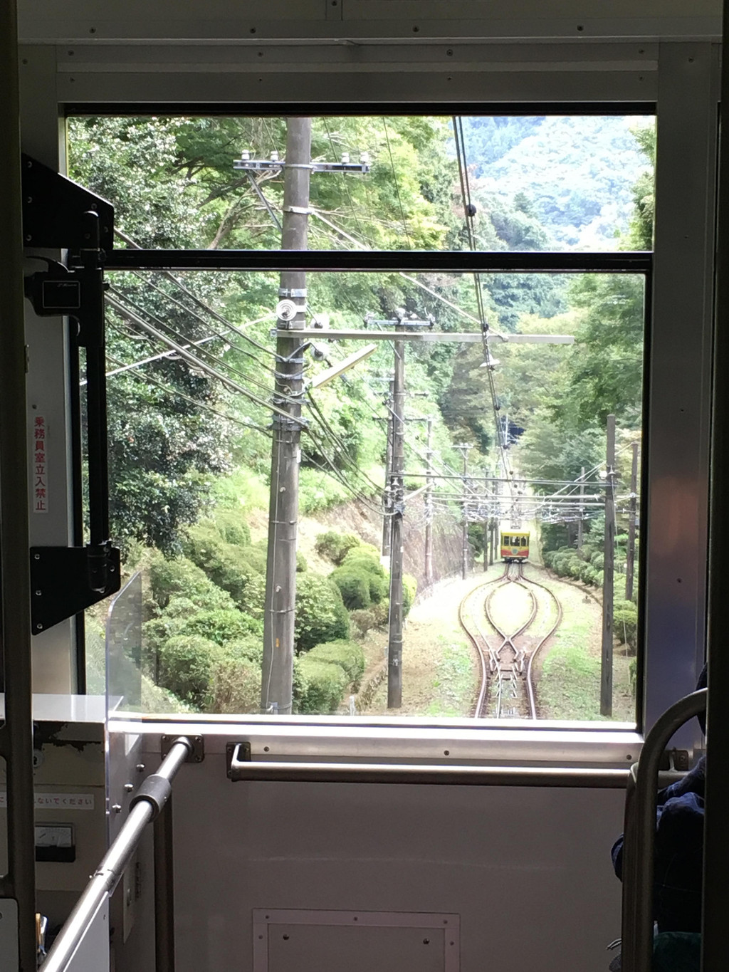 高尾山缆车最好的观景点是车尾,如果11月份红叶开满的话,风景会特别美