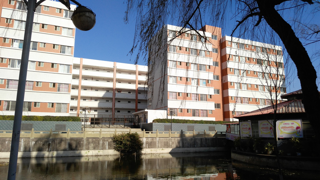 西昌学院(北校区)内景:在学院最里面的小湖前面,有一个小花园