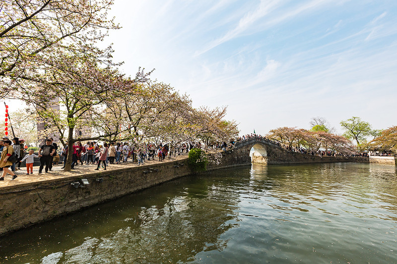 世界三大赏樱胜地之一 无锡太湖鼋头渚风景区