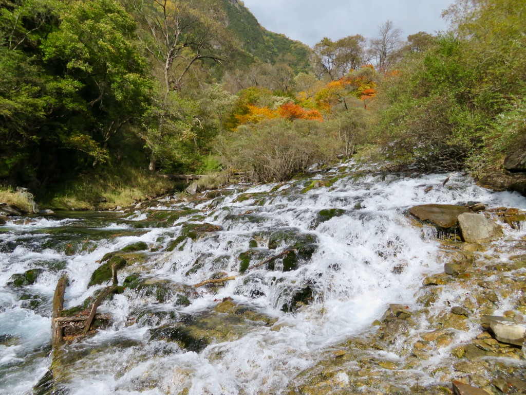 叠溪松坪沟重阳红叶之旅