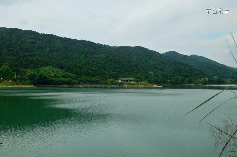 花都自驾游:羊石水库 想和你一起去吹吹风