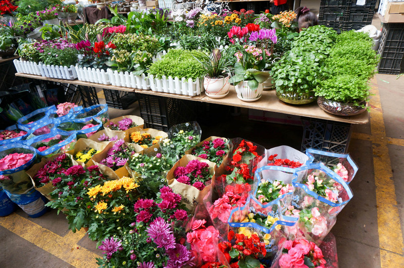 昆明斗南花卉市场攻略