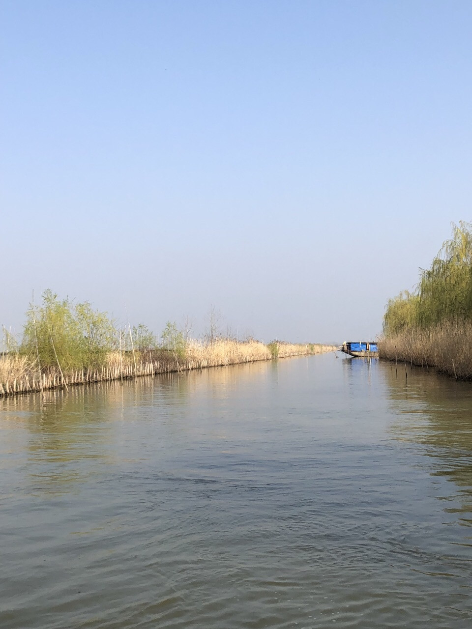 高邮湖芦苇荡湿地公园