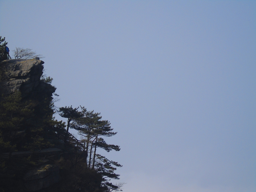 不识庐山真面目,只缘