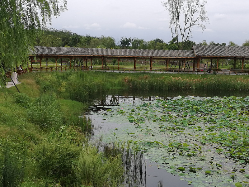 城东青龙湖湿地公园,展示了明代蜀文化,地大湖广人烟稀少,成为我来此