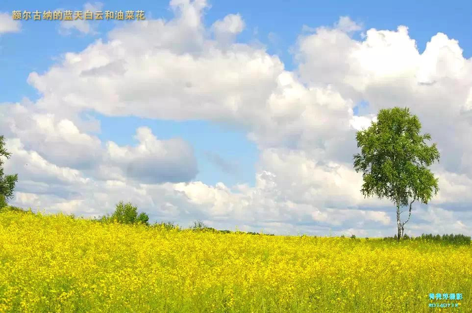      万亩油菜花金灿灿与蓝天白云