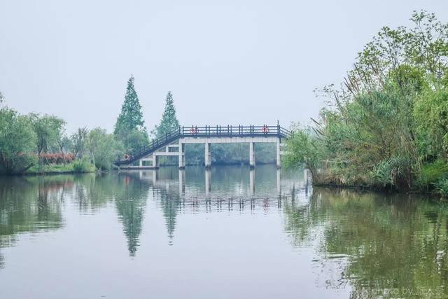 浙江保护最完好的湿地公园之一,诸暨白塔湖国家湿地公园