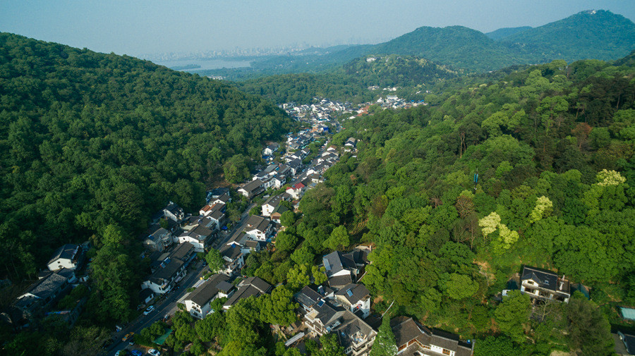 这传说中的狮峰山指的就是杨梅岭,翁家山一带,可见杨梅岭早