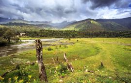林芝鲁朗林海天气预报,历史气温,旅游指数,鲁朗