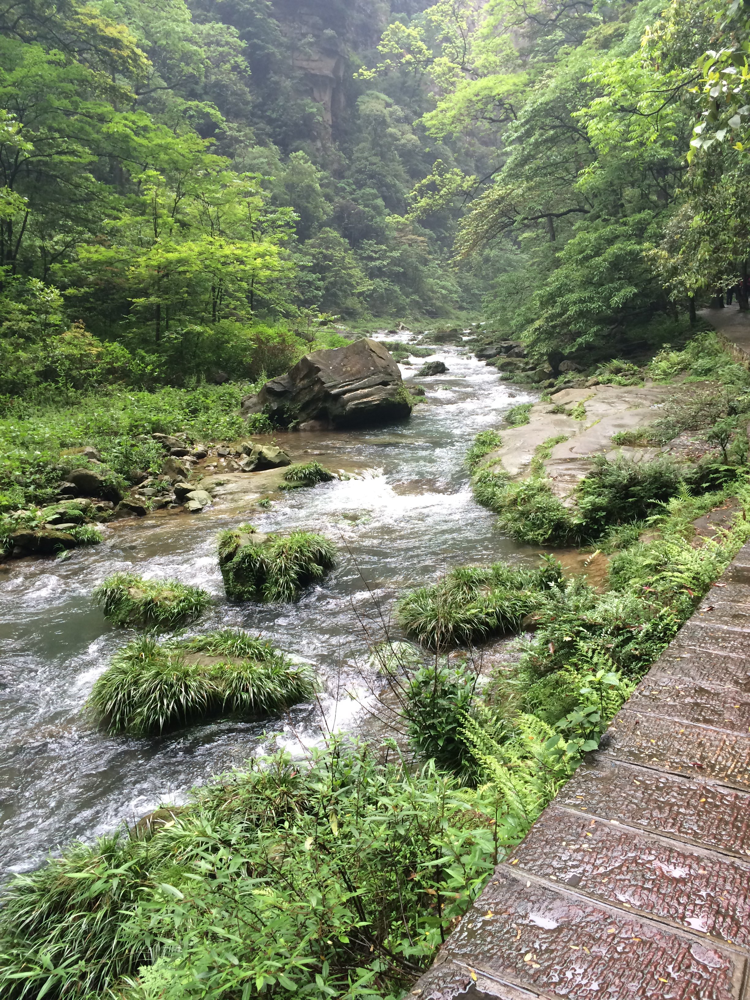 金鞭溪大峡谷 携程网