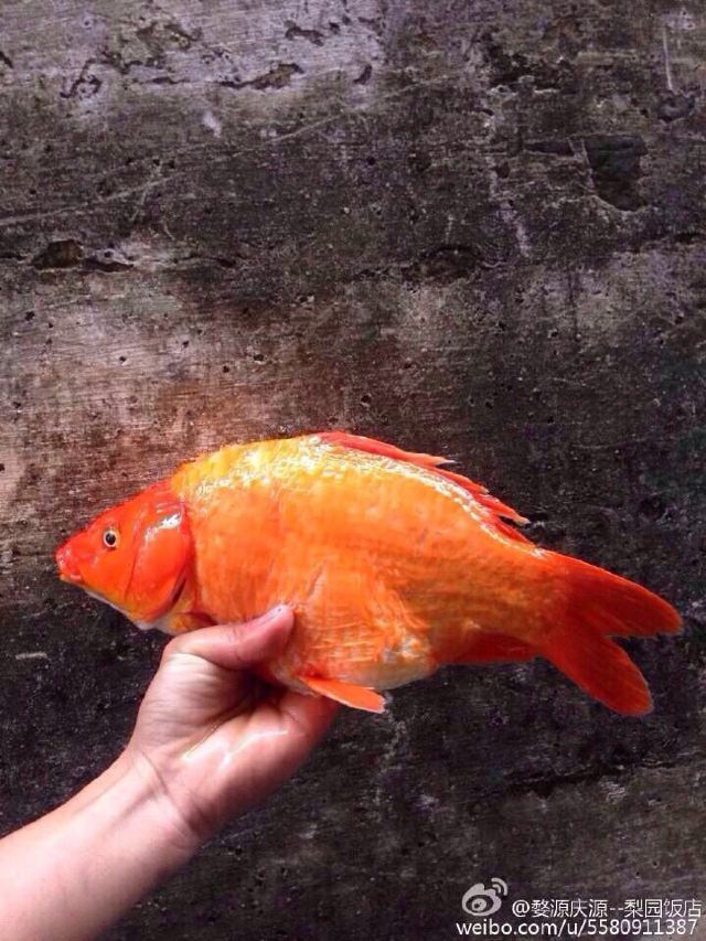 ֽ    640_853   ֻ