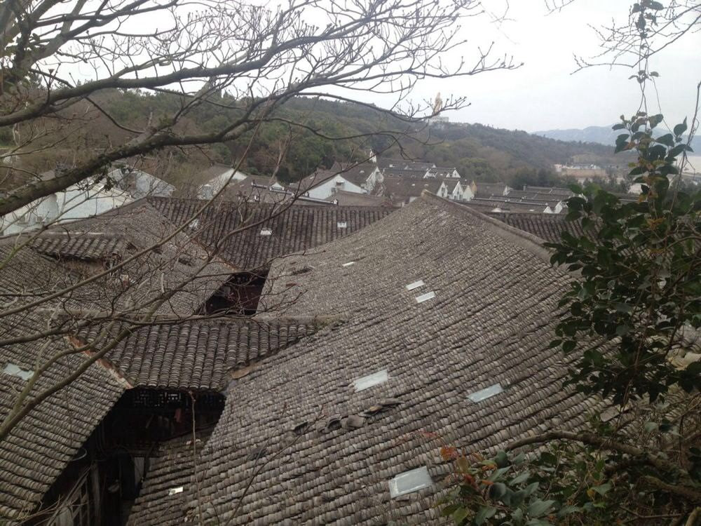 再见,普陀山!