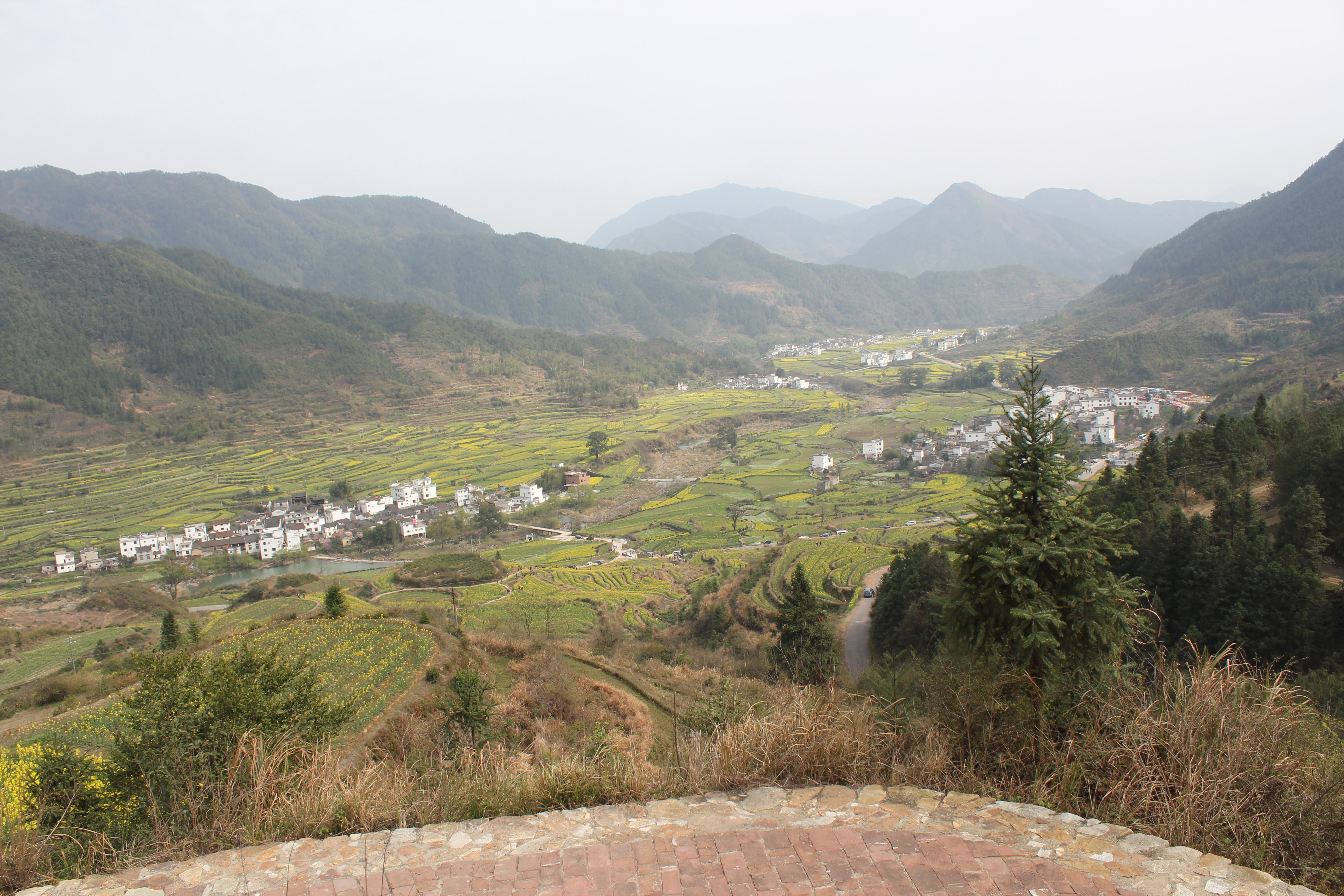 中午在江湾镇上餐馆吃午饭,餐后再行驶15公里到江岭村看油菜花.