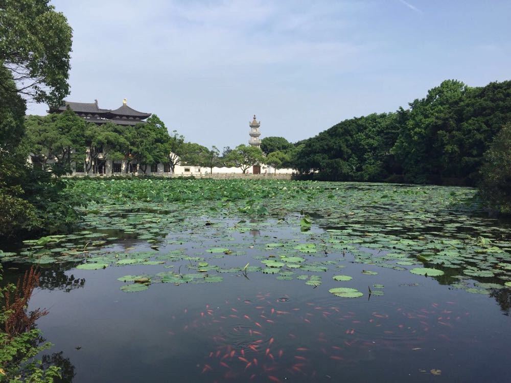 上海到普陀山两日游