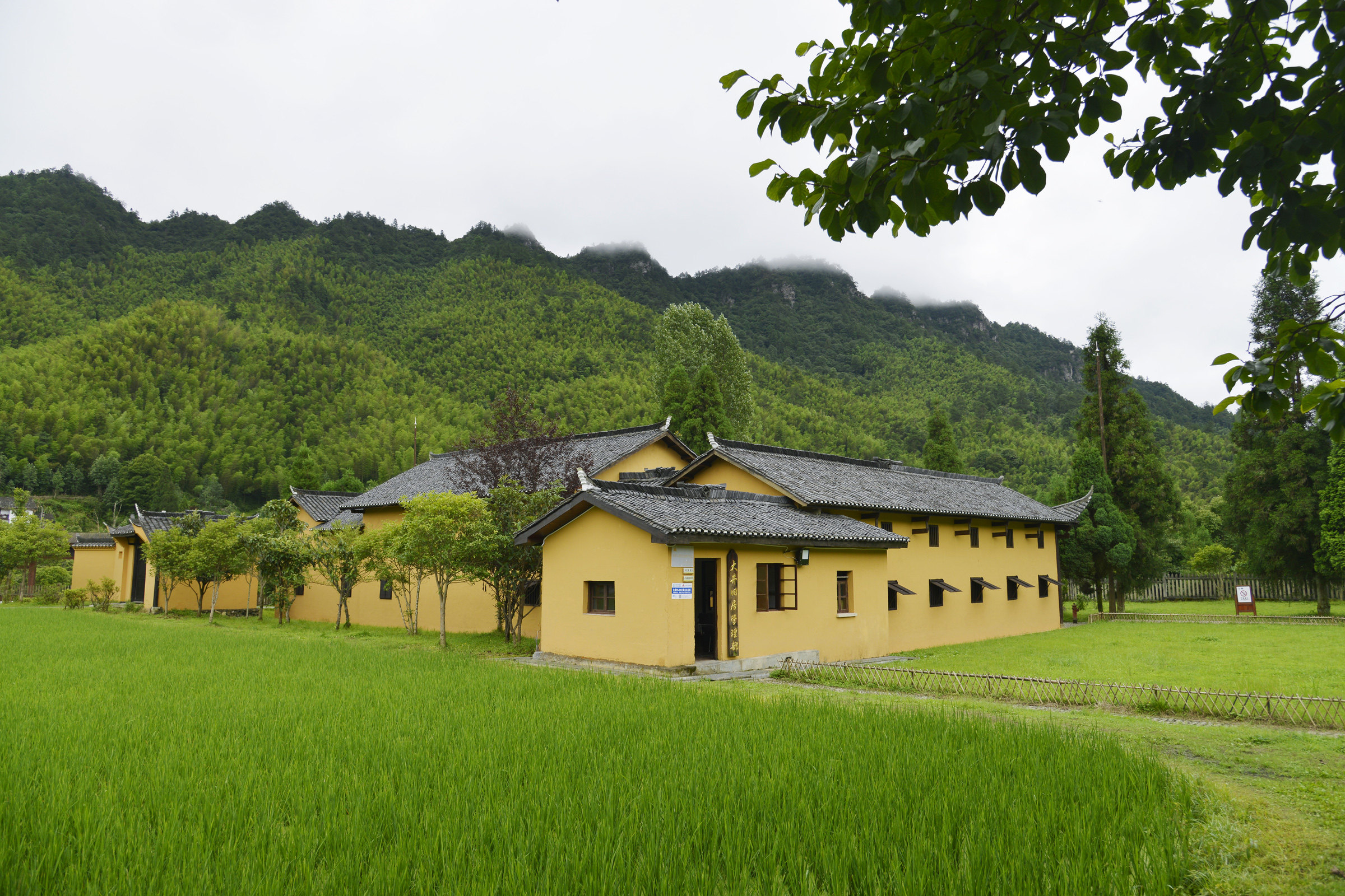 井冈山大井