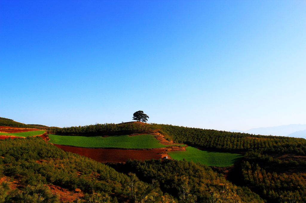 彩云之南-2015年春节错峰游元阳梯田 罗平油菜花 东川红土地 抚仙湖