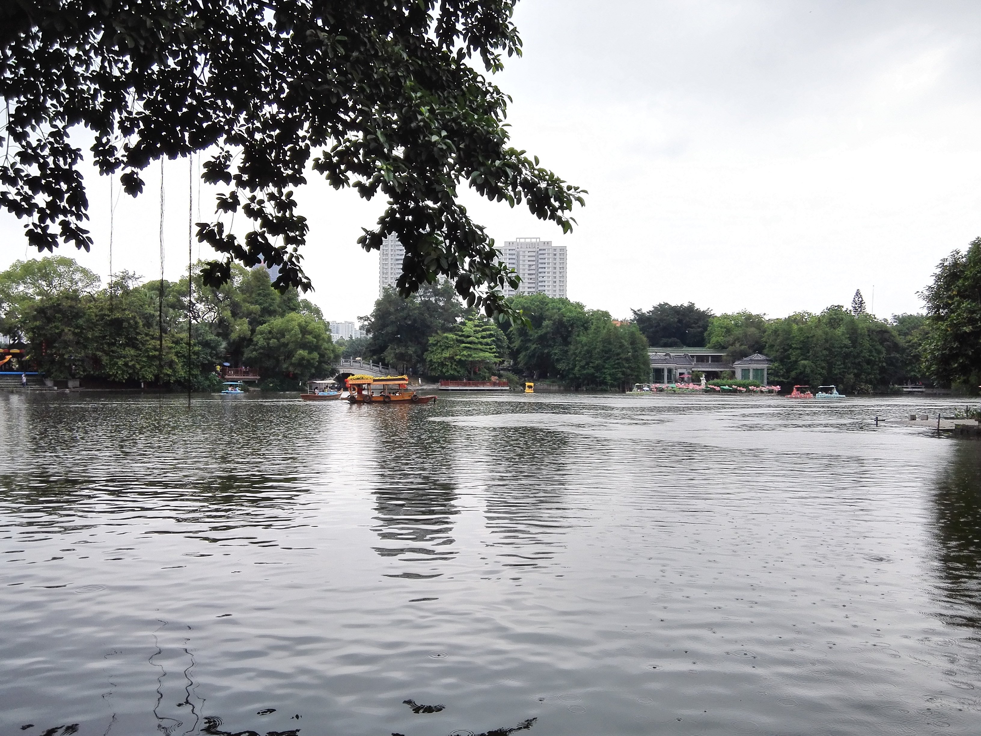 荔枝湾\荔湾湖公园\泮溪酒家一日游(附交通指南,美食推荐)