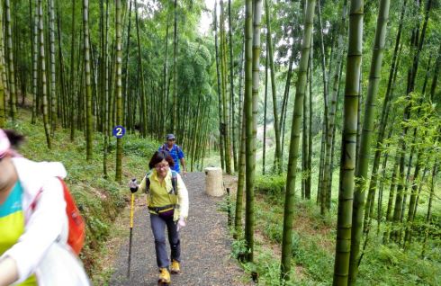 徒步莫干山步道 - 德清游记攻略【携程攻略】