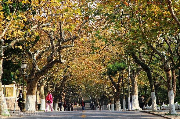 最新青岛5天自助游攻略 - 青岛游记攻略