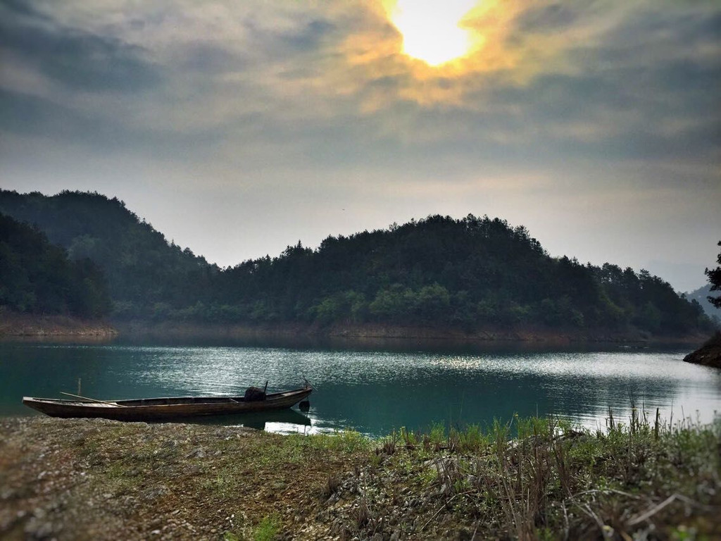 进贤湾马术公园                            