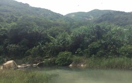 珠海小三浪天气预报,历史气温,旅游指数,小三浪