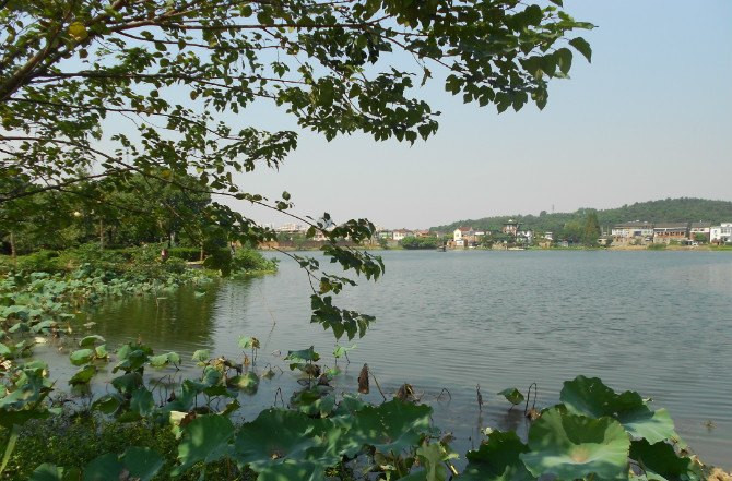 江城芜湖,半城山半城水 旧日米乡今日乐土