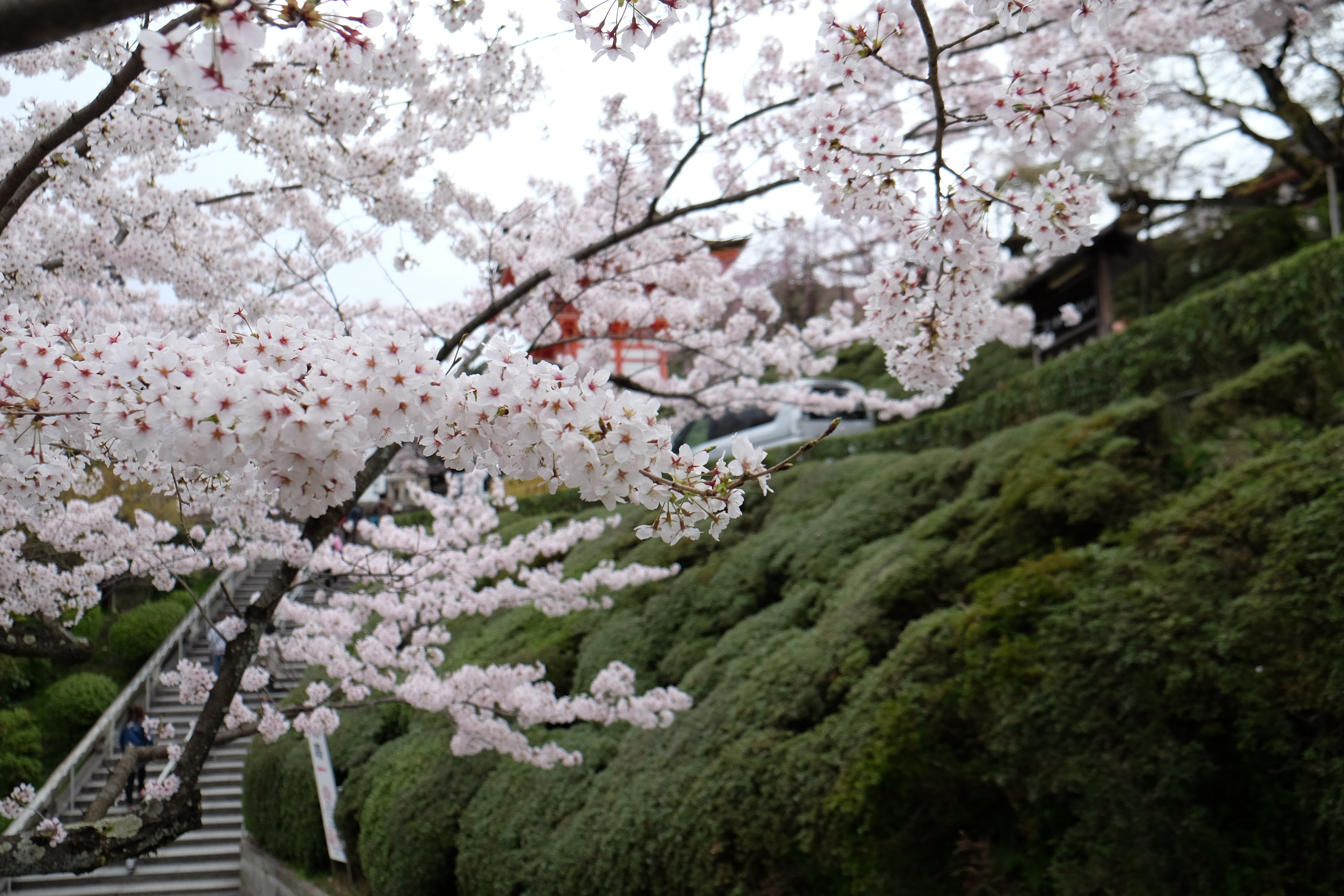 清水寺